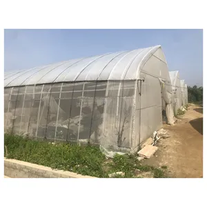Greenhouse Greenhouses Tunnel Greenhouse Hydroponics System Agricultural Greenhouses