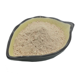 Sản Phẩm Bán Chạy Nhất Bột Chiết Xuất Rễ Sen, Tinh Bột Củ Sen, Chiết Xuất Nelumbo Nucifera - Product Image 2