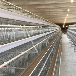 औद्योगिक खरगोश पिंजरे में मांस चिकन पिंजरे का उपयोग किया जाता है - Product Image 3