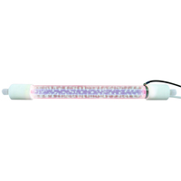 Lampe excimère haute performance 172nm idéale pour les applications avancées de traitement UV et de traitement de surface