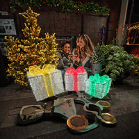 Boîte cadeau 3D à LED, lumières décoratives, IP65, décoration de Noël en plein air, métal, utilisation en intérieur