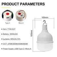 Ampoules LED T100 à tube, vente chaude, DC5V rechargeables, type C, charge pour le camping en plein air, certifiées CE, prix bas, lampe LED, ampoule