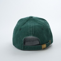 Ontwerp Eigen Pet 6 Panel Borduurwerk Aangepaste Dames Gewassen Katoen Designer Ongestructureerde Baseball Sport Cap Fabrikant