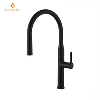 Robinet de cuisine moderne noir mat avec douchette extractible, mitigeur chaud/froid à poignée unique, anti-éclaboussures pour évier de cuisine et maison