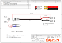 DC 5,5x2,1mm Buchsenstecker auf 250-Pin-Anschluss Stromversorgungskabel