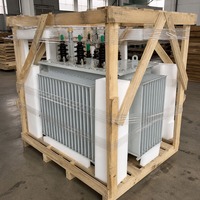 SH15 Üç Fazlı Yağlı Tip Dağıtım Trafosu 3KV 6KV 11KV Giriş 400V Çıkış 50HZ Yüksek İzolasyon Düşük Kısmi Deşarj