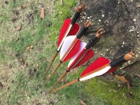 Flèches en bambou Tonkin imprimées, faites à la main, traditionnelles, avec teneur en spine, pour la chasse à l'arc recurve