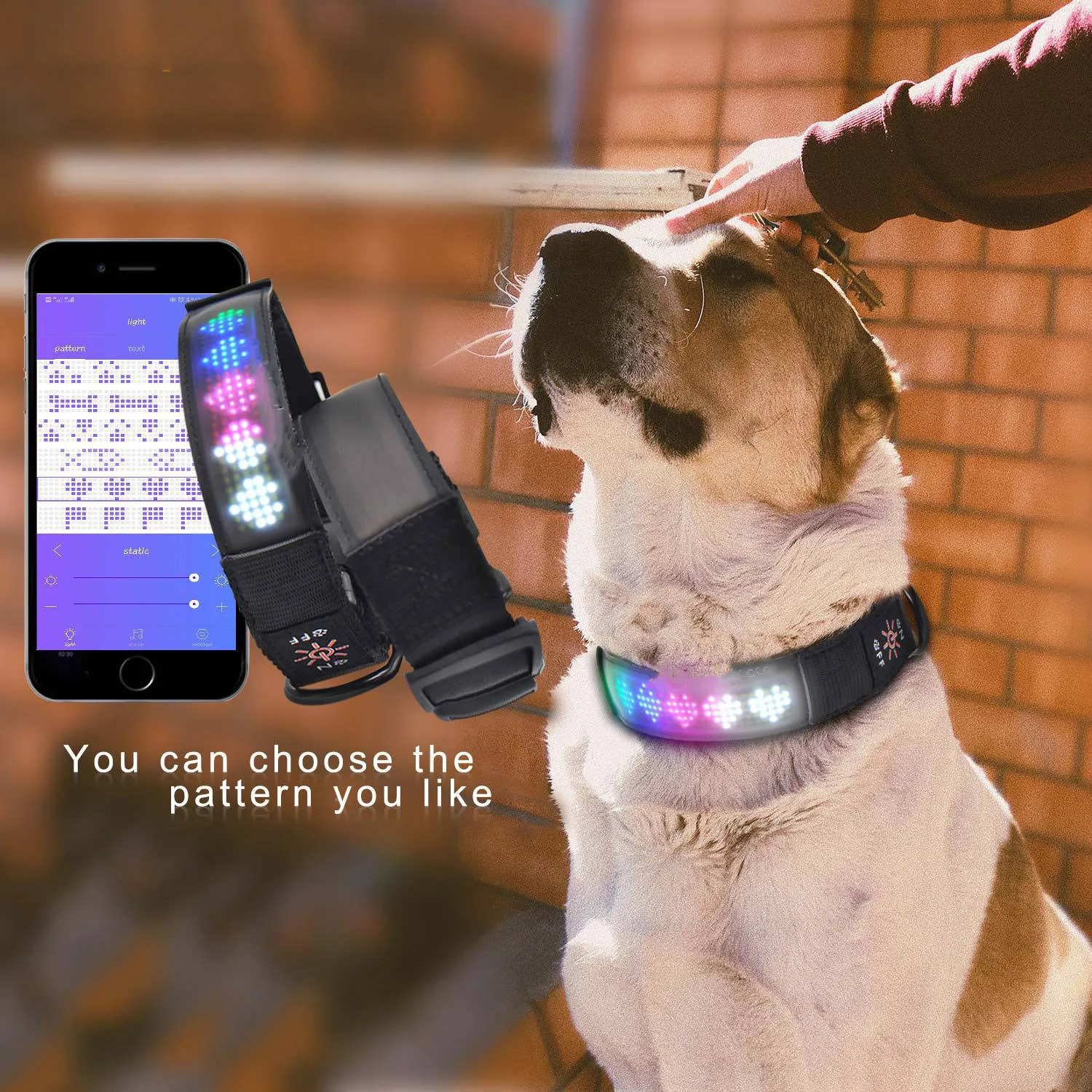 Collar de luz LED para perro, accesorio recargable por USB, resistente al agua, con control por aplicación