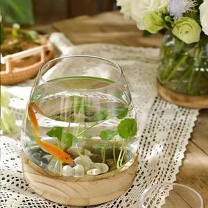 Terrario da tavolo per moltiplicazione di piante, fioriera per piantare acqua vaso in vetro con supporto in legno per la coltivazione di piante idroponiche a casa - Product Image 5