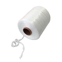 Fil texturé en fibre de verre pour mèche 140tex