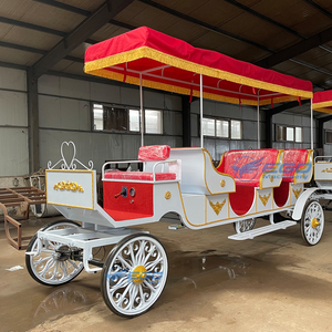 Chariot de tourisme à chevaux en promotion – Plusieurs styles, chariot royal de tourisme de haute qualité - Product Image 6