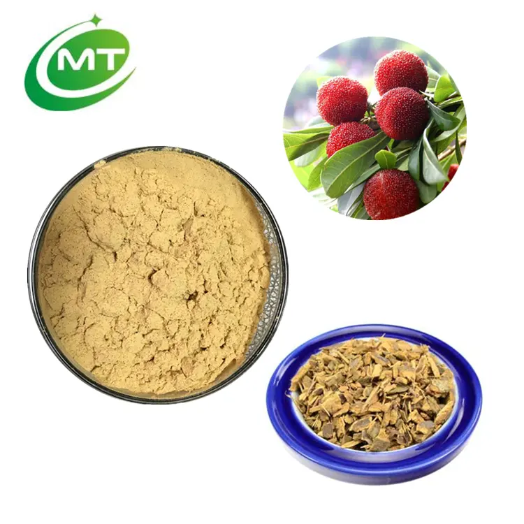 Poudre d'extrait d'écorce de Bayberry de myricetine Myrica rubra biologique Pure pour les soins de la peau en cosmétique