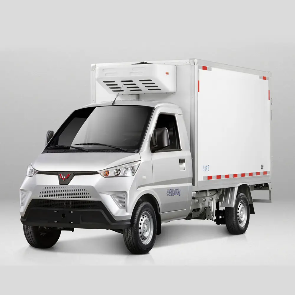 A basso prezzo luce elettrica Freezer Box camion 2024 Wuling Cargo Van 2 posti usato gelato camion di trasporto per Sal