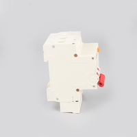 Interruptor Automático Miniatura de 2 Puertos MUTAI, Color Blanco, Proveedor Chino, Alta Capacidad de Interrupción, Protección Residual RCBO PA66