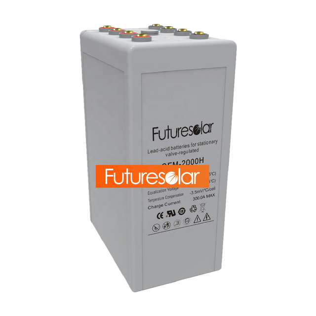 Futuresolar 6v 600ah Deep Cycle Battery for Solar Free Shipping