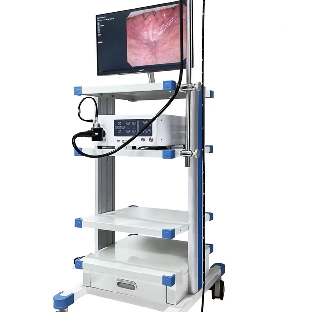1080P HD Gynecological Endoscopy Camera Laparoscopic Surgery Equipment 1080P Endoscopy Tower 3D Camera
