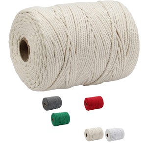 Vente en gros de corde macramé 3mm 4mm en coton corde d'arrimage tressée enduite imperméable corde de cire colorée torsadée pour sacs vêtements chaussures - Product Image 2