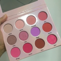 Palette de Maquillage DIY Luxe à Haute Pigmentation, Ombre à Paupières Personnalisable avec Logo, Sans Cruauté Animale, Nude