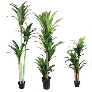 Bán buôn mô phỏng dracaena fragrans trang trí cây cảnh quan vườn cây nhân tạo