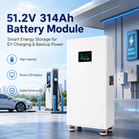 Pack de batteries LiFePO4 DIY testé par Marko, 51.2V 280Ah 300Ah 314Ah 16kWh, pour stockage d'énergie domestique, boîtier de batterie DIY pour système solaire hors réseau