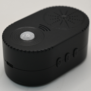 Caja de música de supermercado con módulo de sonido grabable ABS USB Pir Sensor de movimiento Sleep & Light Feature Paquete de caja de regalo - Product Image 1