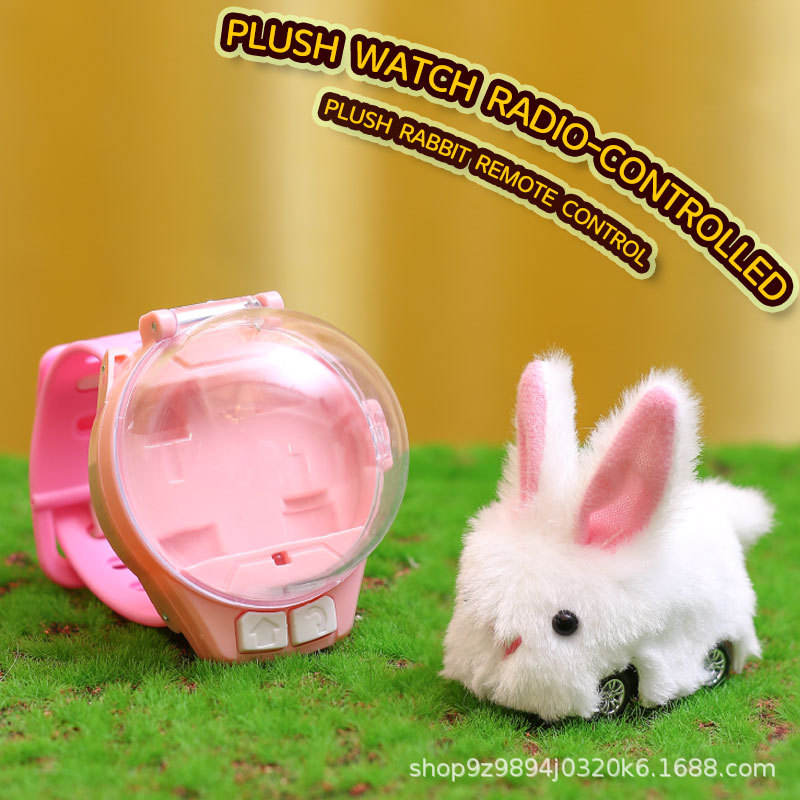 Solidworks Car Remote Control Kids' Watch Electric Mini Plush Toy Capybara Car for Boys 0-24 Months ...