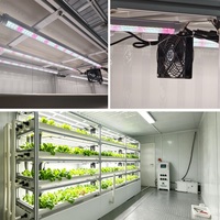 Ferme en conteneur maritime 40HQ entièrement automatisée, système d'agriculture verticale clé en main pour la production commerciale de légumes