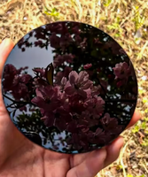 Plaque de miroir en cristal noir naturel poli et gravé, ronde, avec support, pour la divination Reiki, le Feng Shui, la décoration intérieure, tendance de la mode