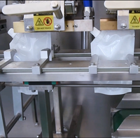 Machine d'emballage de mayonnaise en doypack à bec verseur DS-180SXC pour sachets alimentaires, jus, purées et boissons en sachet, remplissage et scellage