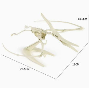 Modelo de Esqueleto de Dinosaurio para Armar, Manualidad DIY para Niños, Esqueleto de Tiranosaurio Rex de Plástico, Múltiples Estilos Disponibles para Niños - Product Image 5