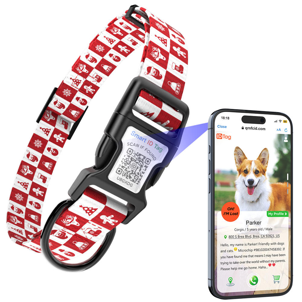 Patrón 1 con software