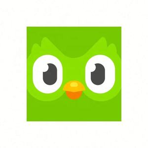 Cuenta Global de Duolingo, Duolingo Premium, Duolingo Super, 1 Año, 1, 3, 6, 12 Meses, Vincula tu Cuenta - Product Image 3