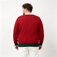 Pull cardigan en tricot à col en V pour homme, rouge, simple, avec broderie tête de cerf, thème de Noël, ODM OEM