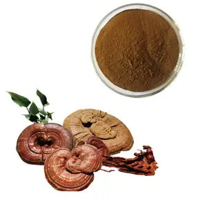 Ganoderma Lucidum, оптовая продажа, 100% Органические растительные добавки, порошок грибов рейши Lingzhi Spore