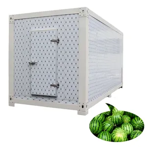 High Efficiency Customized Mobile Cold Room with Solar Power Panel Mono-block Compressor Condensing Unit Container Cold Storage