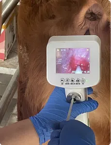 Iangs-pistola de inseminación artificial para ganado, equipo digital visual con cámara
