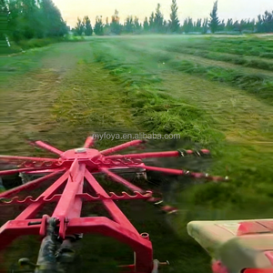 Nouveau Râteau Hydraulique de Débroussaillage et de Nettoyage de Terrain pour Tracteur Agricole, Puissance de Traction Efficace, avec Boîte de Vitesses PTO, 50-80 CV, Largeur de Travail 3m - Product Image 5