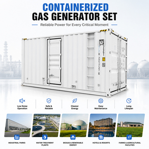 Groupe électrogène au gaz de type conteneur 500 kW 800 kW 1000 kW à haute dissipation thermique pour conditions de travail à haute température - Product Image 4