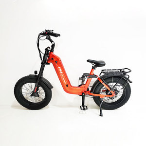 Chúng Tôi Kho Nhôm Khung 20 Inch 48V 14.5ah 750W Lithium Pin Điện Lai Xe Đạp Bán Buôn - Product Image 3