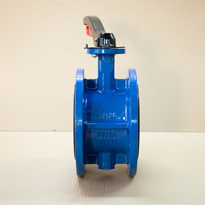 Precio de Fábrica OEM: Válvula de Hierro Fundido con Brida y Asiento de EPDM para Suministro de Agua, HVAC y Tuberías Industriales - Product Image 3