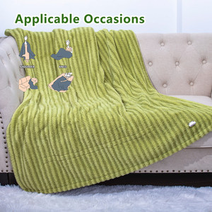 Mantas de felpa de peluche reguladoras de calor cálido de invierno, manta eléctrica de lana para sofá - Product Image 4