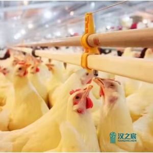 Pipettes d'abreuvement automatiques neuves de haute qualité pour poulets, en plastique, débit de 1,5 à 2,5 <span class=keywords><strong>L</strong></span>/min, garantie 1 an - Product Image 6