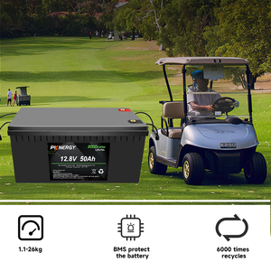 Vente en gros de batteries 12,8 V 200 Ah pour vélo/vélo électrique/chariot de golf - Rechargeable, garantie 10 ans, plus de 6000 cycles - Product Image 3