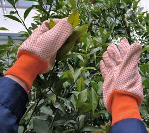 Top Trending Orange Knitted Wrist PVC Dotted Drill/Canvas Guantes de algodón de uso general con puntos de PVC naranja para uso diario - Product Image 4