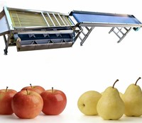 Efficiënte palmformaat sorteermachine voor dadels en UAE-dadels, fruit- en groentesorteermachine voor kersen en bessen.