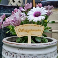 Marqueur de Plante en Bois Fait Main, Piquet de Jardin Personnalisé, Étiquette de Plante sur Mesure, Étiquette Cadeau pour Fleurs, Accessoires de Jardinage, Installation Facile