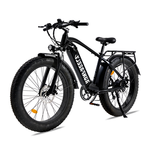 1688 Agent livraison rapide 26 pouces batterie au lithium 13AH 500W 48V longue durée VTT électrique - Product Image 1