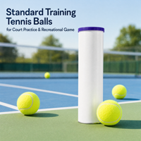 Balles de tennis d'entraînement en feutre durable Voilax, haute élasticité, pour intérieur et extérieur, logo personnalisé, vente en gros disponible, tube de 4