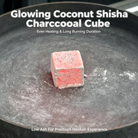 Charbon à chicha à base de coquilles de noix de coco, charbon à narguilé, haute pureté, sans odeur, améliore la saveur, charbon à chicha