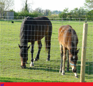 Nhà Máy GST Trực Tiếp Trò Chơi Đồng Cỏ Thiết Bị Chế Biến Hàng Rào Deer <span class=keywords><strong>Fencing</strong></span> Wire Fabric <span class=keywords><strong>Machine</strong></span> - Product Image 6